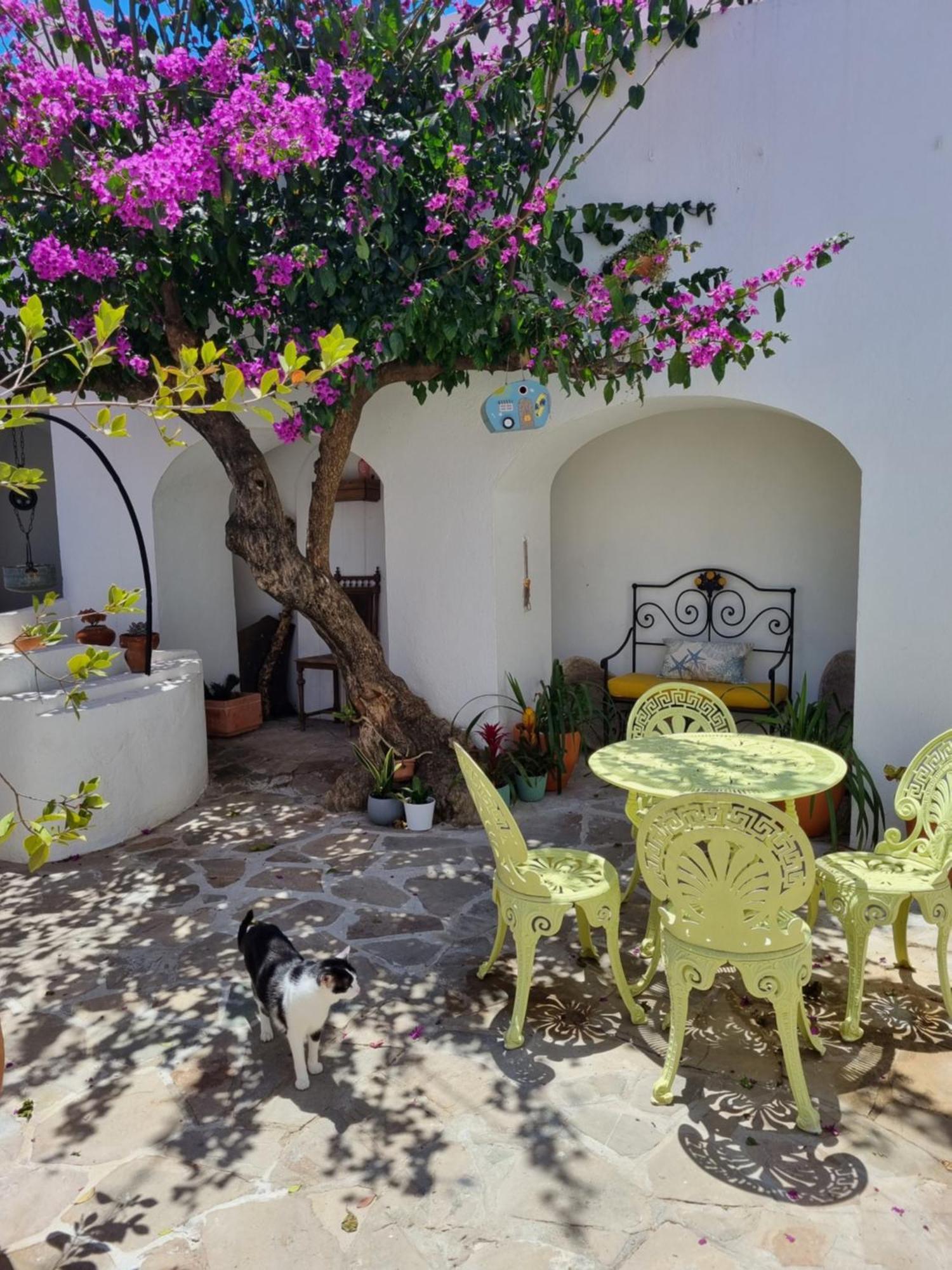 Castle House And Beach Sines Dış mekan fotoğraf